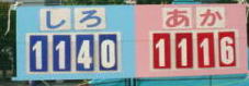11401116