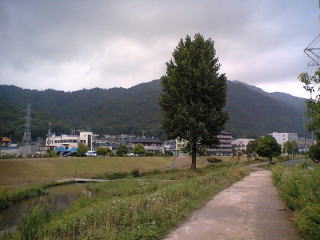 �Ð삩��̉��i